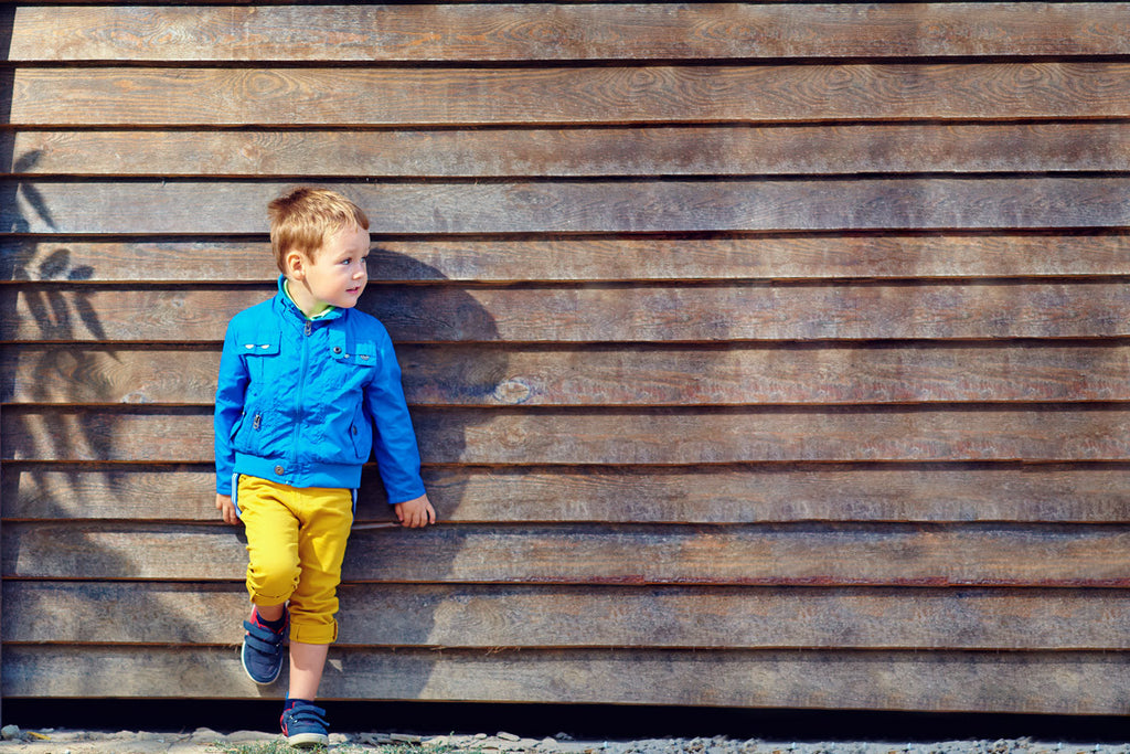 Pulvinar massa gravida